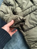 کاپشن اور برند TOPMAN - Image 7